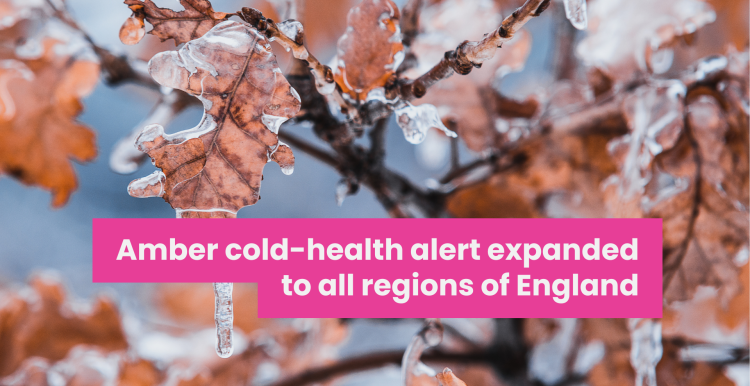A photo of frozen leaves with overlaid text that reads 'Amber cold-health alert expanded to all regions of England'