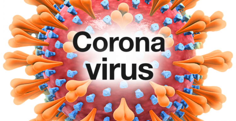corona corona