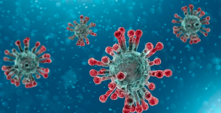 Coronavirus