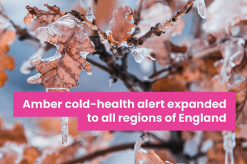 A photo of frozen leaves with overlaid text that reads 'Amber cold-health alert expanded to all regions of England'