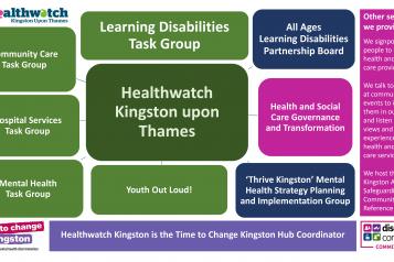The ways we work at Healthwatch Kingston