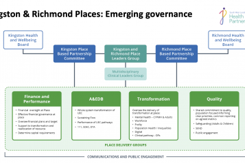 Kingston & Richmond Places: Emerging governance