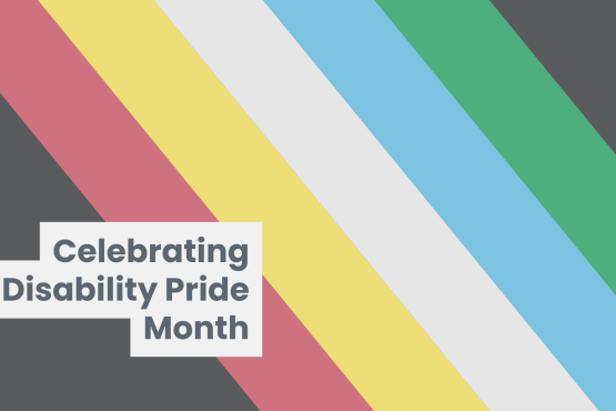 An image of the Disability pride flag with diagonal stripes of colour. Text overlaid reads 'celebrating disability pride month'