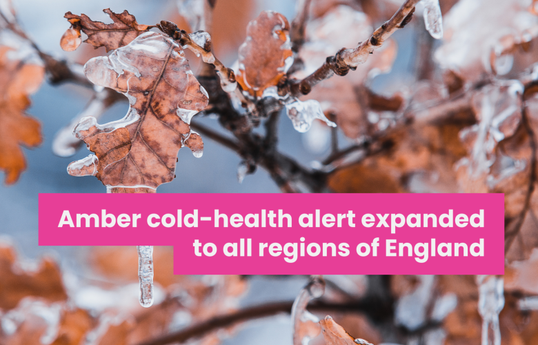 A photo of frozen leaves with overlaid text that reads 'Amber cold-health alert expanded to all regions of England'